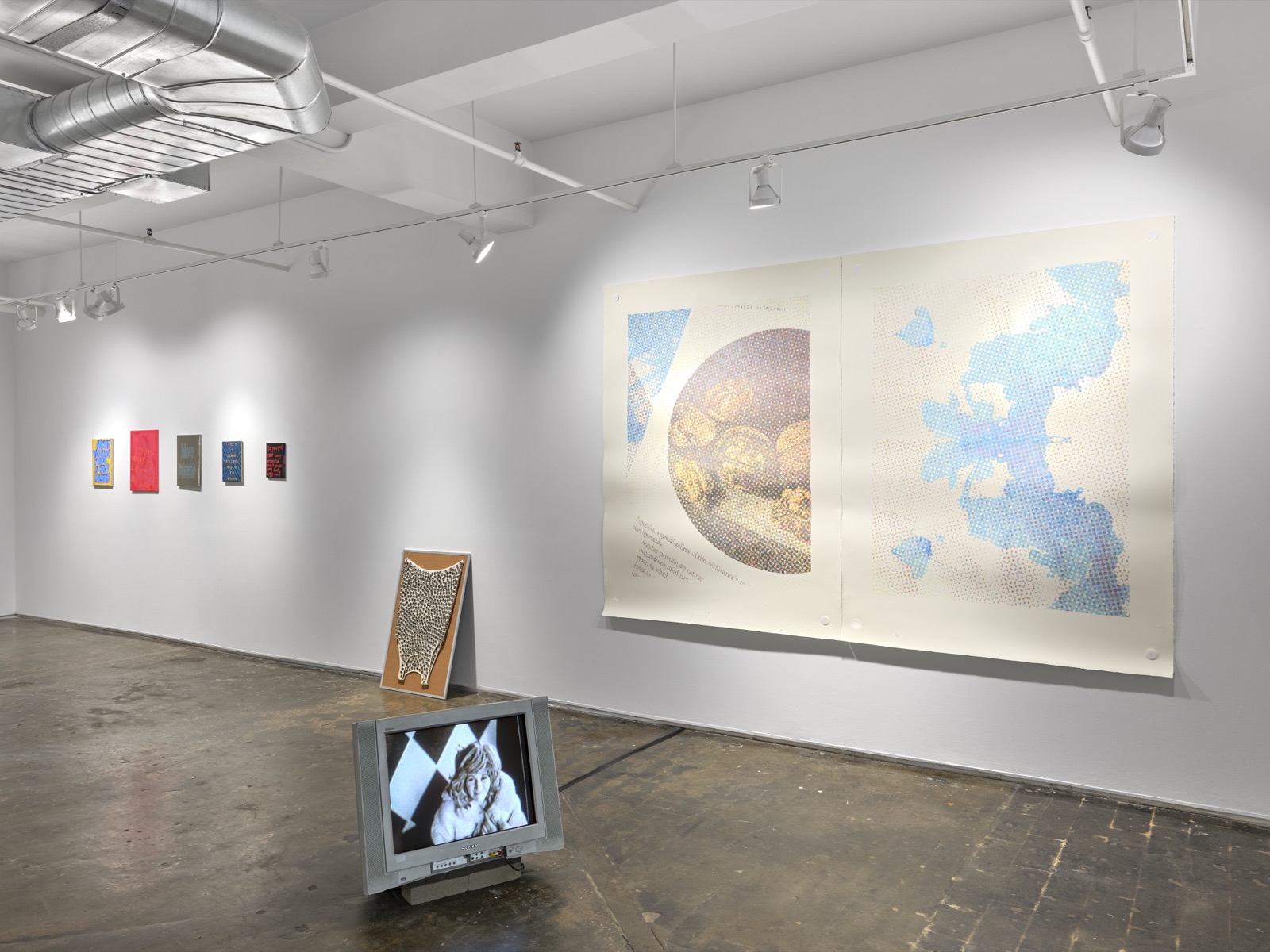 A.I.R. Biennial installation image 2